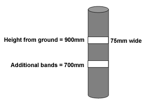 A drawing of a pole depicting where the contrasting bands should be placed