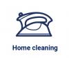 Icon of an Iron with words "Home Cleaning"